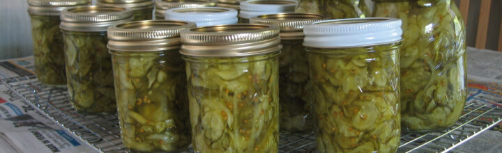 Nana’s bread and butter pickles