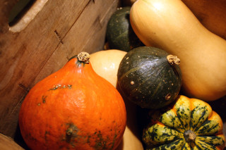 squashes